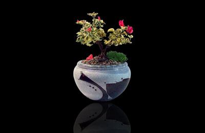unique ceramic bonsai pot