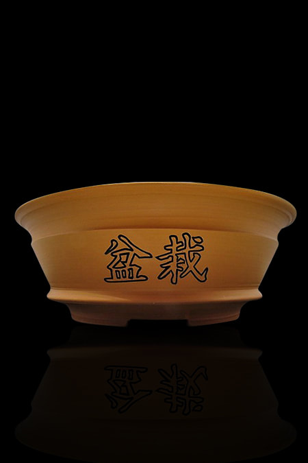 Close up of bonsai pot with kanji symbols